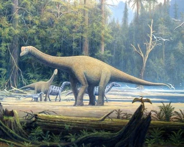 W jakiej epoce żyły dinozaury? Odkryj fascynującą historię! W jakiej epoce żyły dinozaury? Odkryj fascynującą historię!
