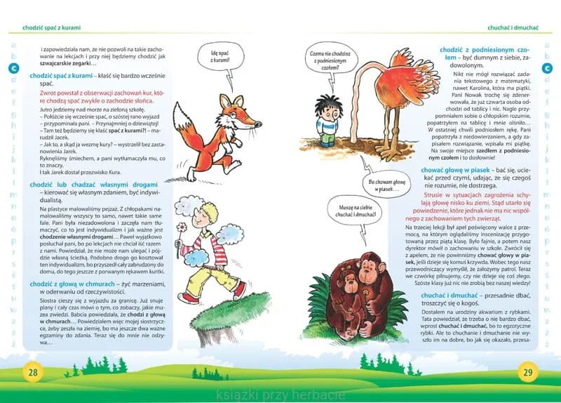 Ośle uszy frazeologizm – co naprawdę oznacza i jak go używać? Ośle uszy frazeologizm – co naprawdę oznacza i jak go używać?