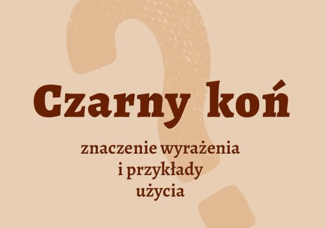 Wyjaśnij znaczenie frazeologizmów pochodzenia literackiego i ich wpływ Wyjaśnij znaczenie frazeologizmów pochodzenia literackiego i ich wpływ